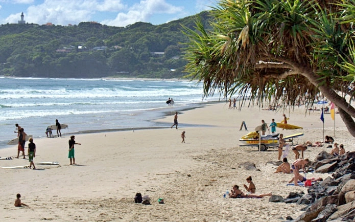 Contributor Milene - profile image Profile Image