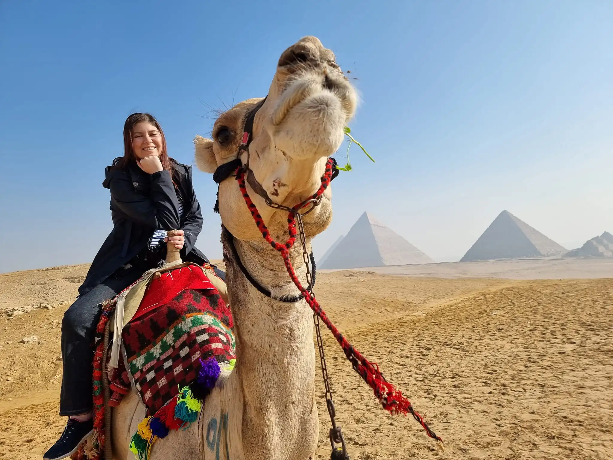 Contributor Joanna - profile image Profile Image